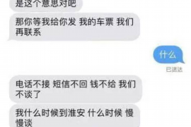 原阳为什么选择专业追讨公司来处理您的债务纠纷？